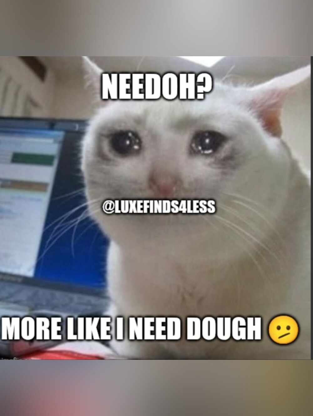Free Needoh With $50+ Purchase. First Come First Served